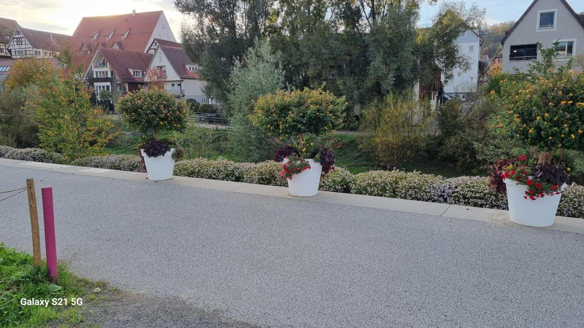 Ferienwohnung Elefanten Balingen Exterior photo