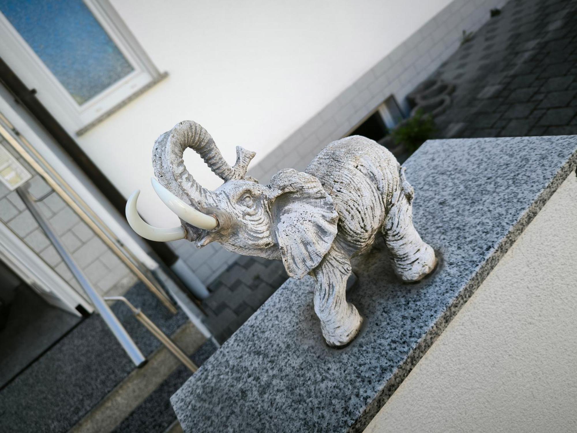 Ferienwohnung Elefanten Balingen Exterior photo